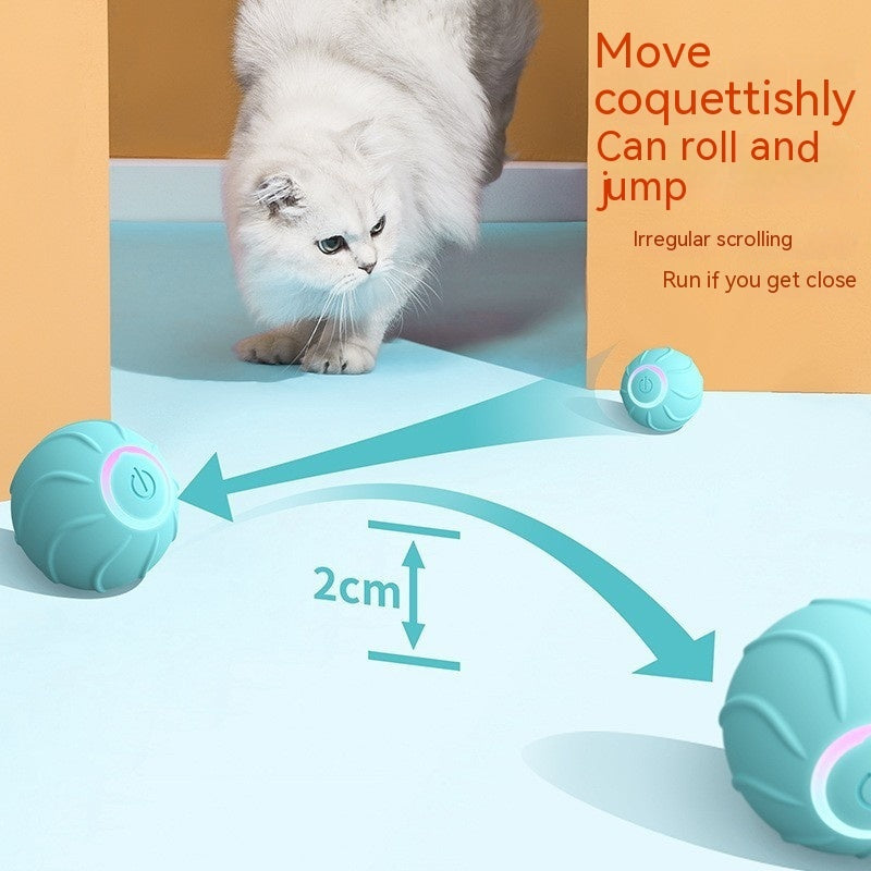 CatLeap Electric cat toy