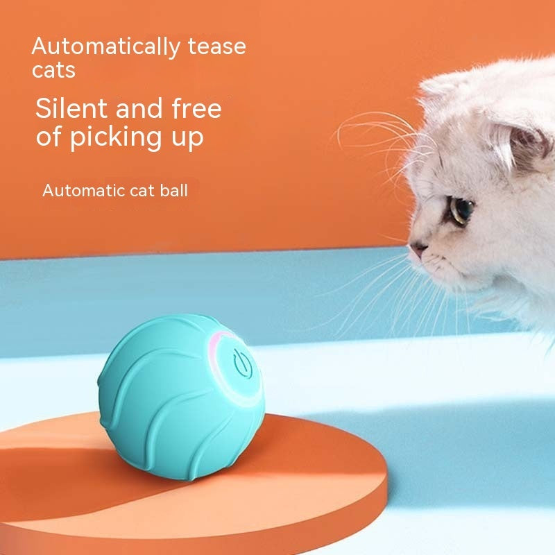 CatLeap Electric cat toy